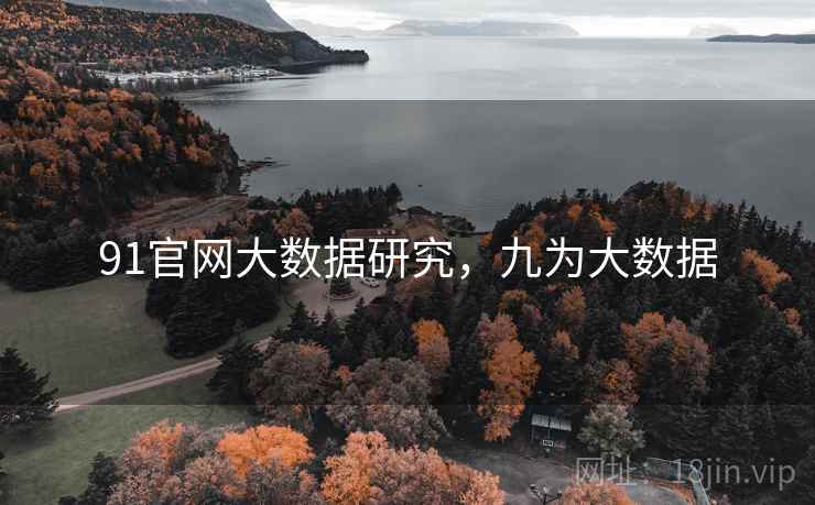 91官网大数据研究，九为大数据