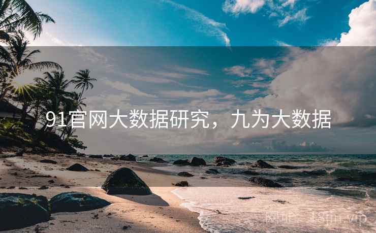 91官网大数据研究，九为大数据