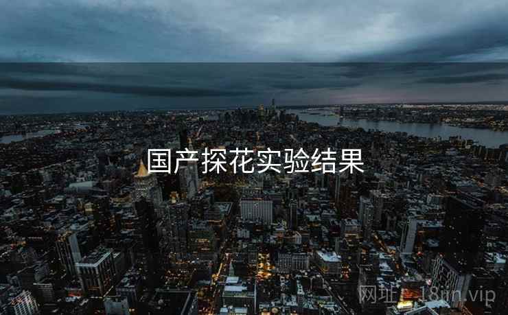 国产探花实验结果