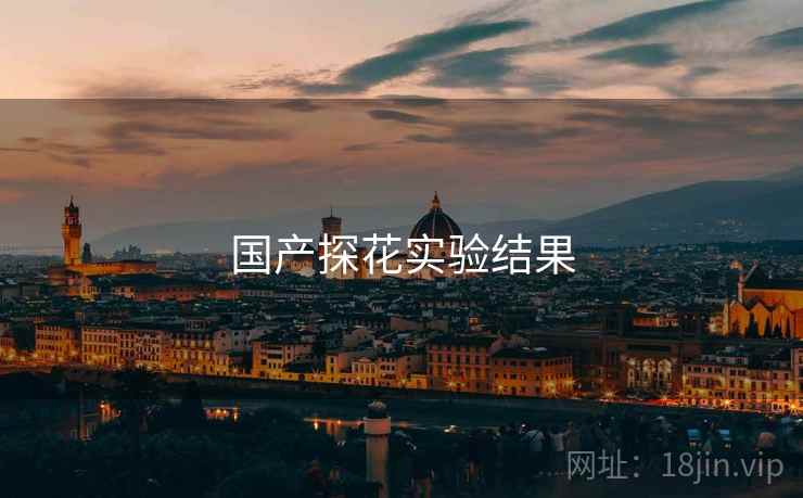 国产探花实验结果
