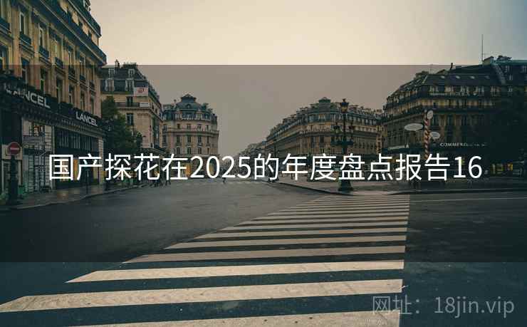 国产探花在2025的年度盘点报告16