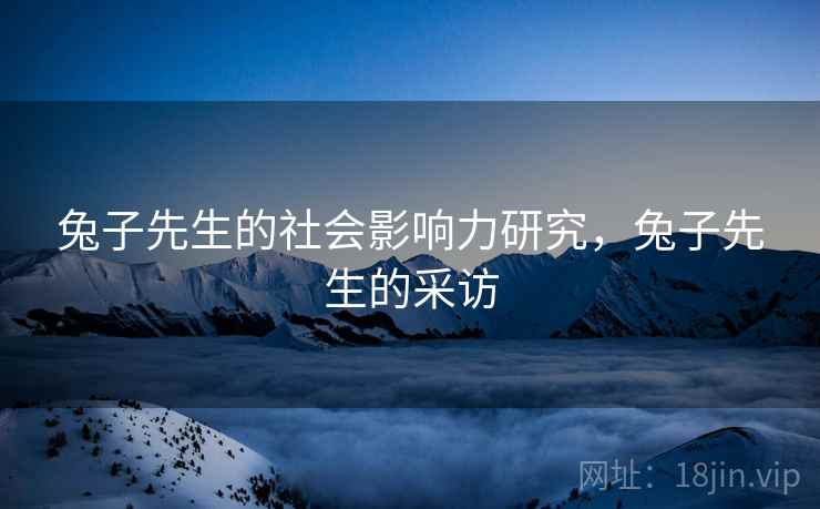 兔子先生的社会影响力研究，兔子先生的采访