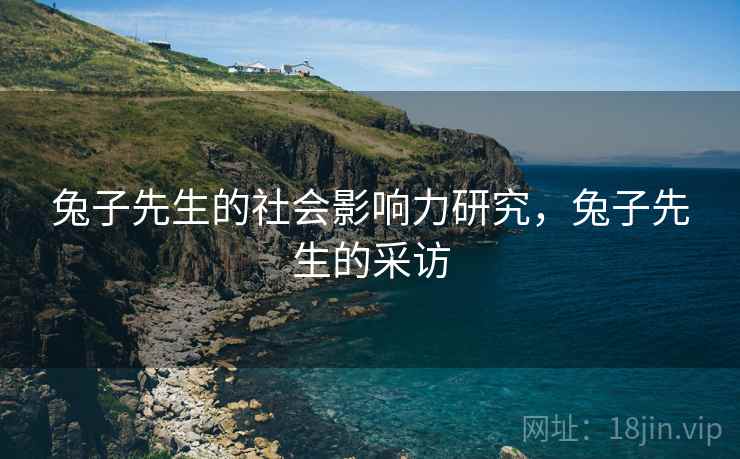 兔子先生的社会影响力研究，兔子先生的采访