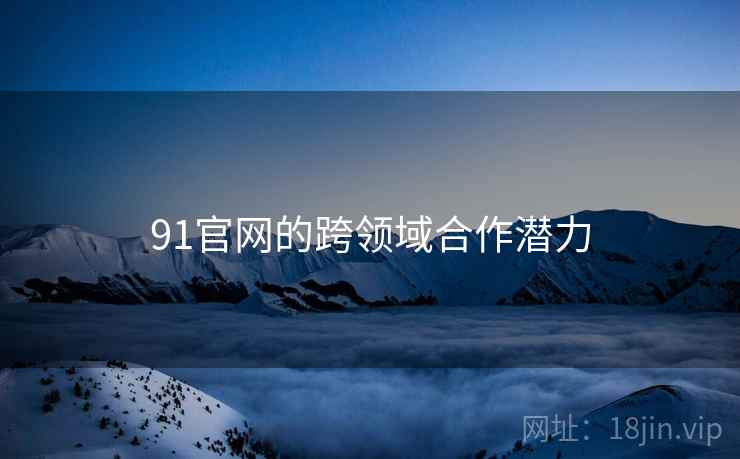 91官网的跨领域合作潜力