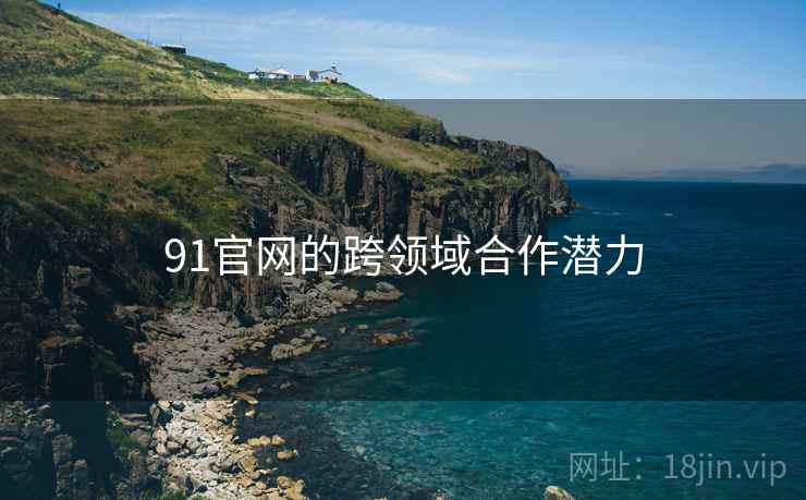 91官网的跨领域合作潜力
