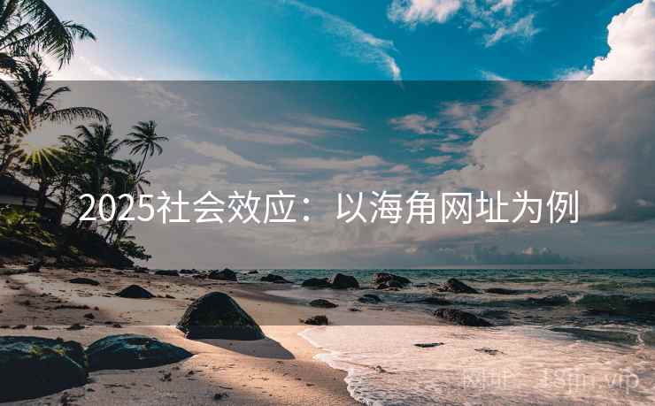 2025社会效应：以海角网址为例