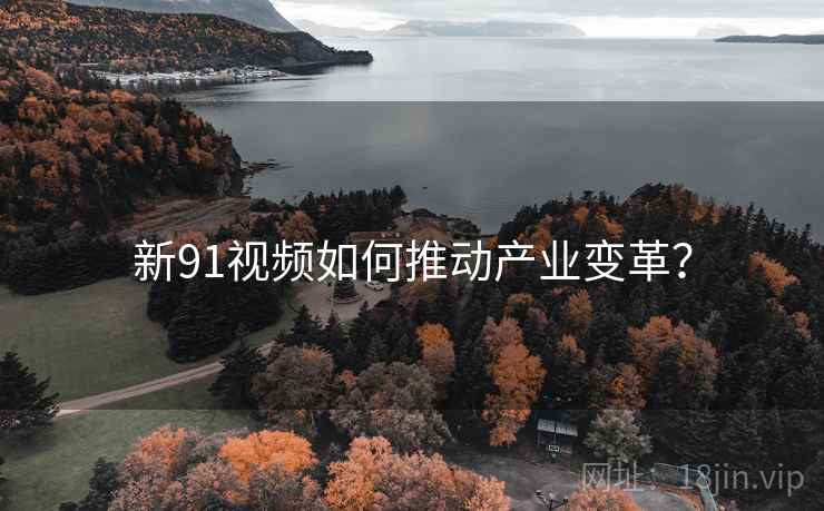 新91视频如何推动产业变革？