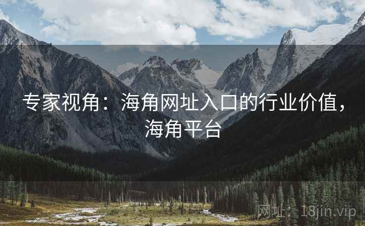 专家视角：海角网址入口的行业价值，海角平台
