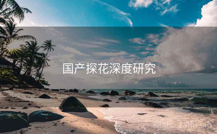 国产探花深度研究