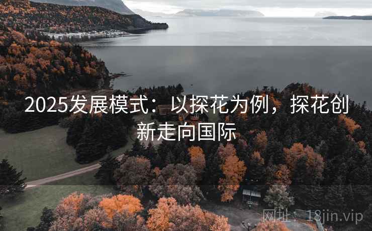 2025发展模式：以探花为例，探花创新走向国际