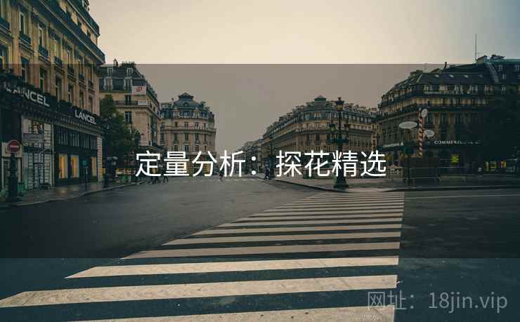 定量分析：探花精选