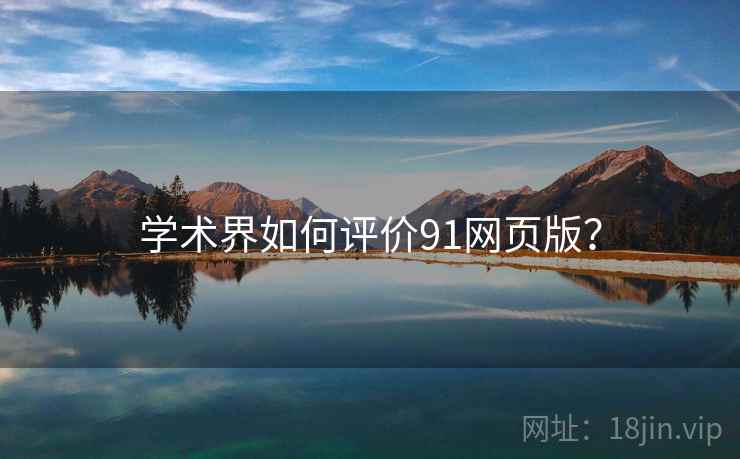 学术界如何评价91网页版？