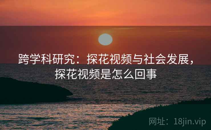 跨学科研究：探花视频与社会发展，探花视频是怎么回事