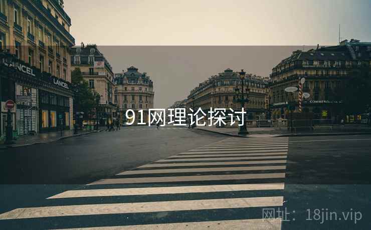 91网理论探讨