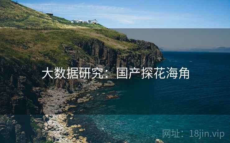 大数据研究：国产探花海角