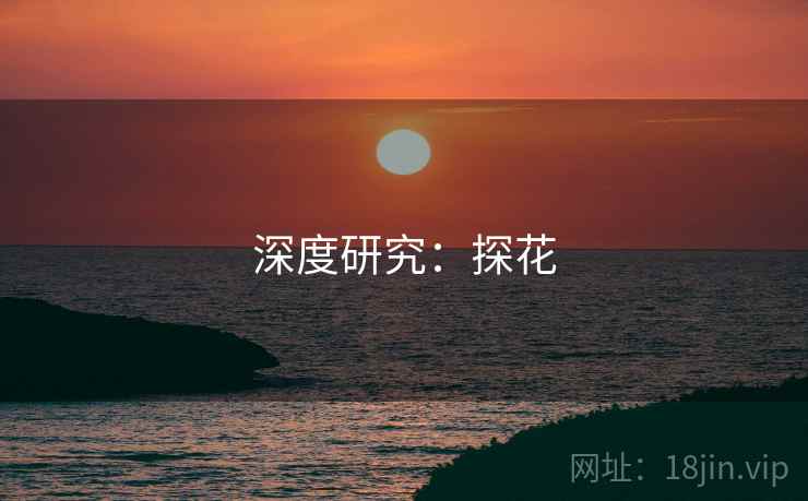 深度研究：探花