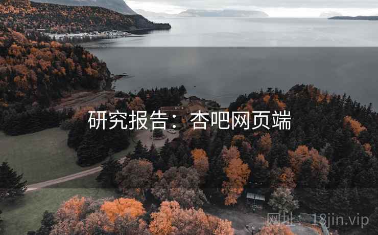 研究报告：杏吧网页端
