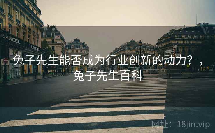 兔子先生能否成为行业创新的动力？，兔子先生百科